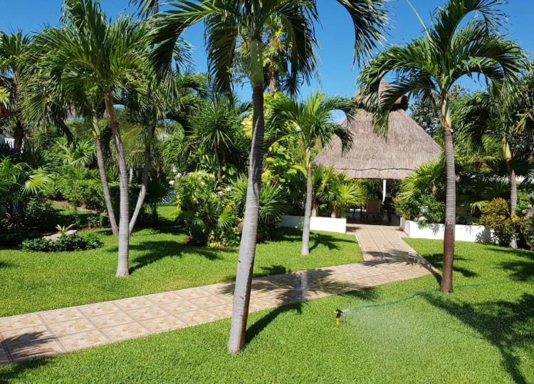 Large House - Walking To Beach - 10 Guests! Cancún Extérieur photo